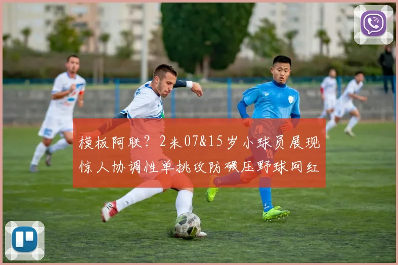 模板阿联？2米07&15岁小球员展现惊人协调性单挑攻防碾压野球网红